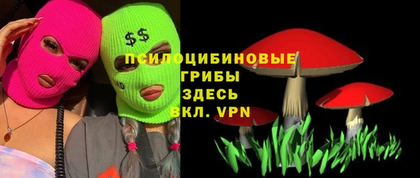 ГАЛЛЮЦИНОГЕННЫЕ ГРИБЫ Алексеевка