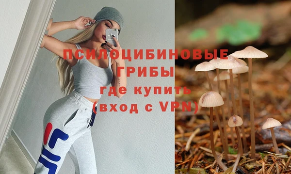 стафф Алексин