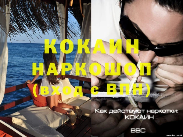 стафф Алексин