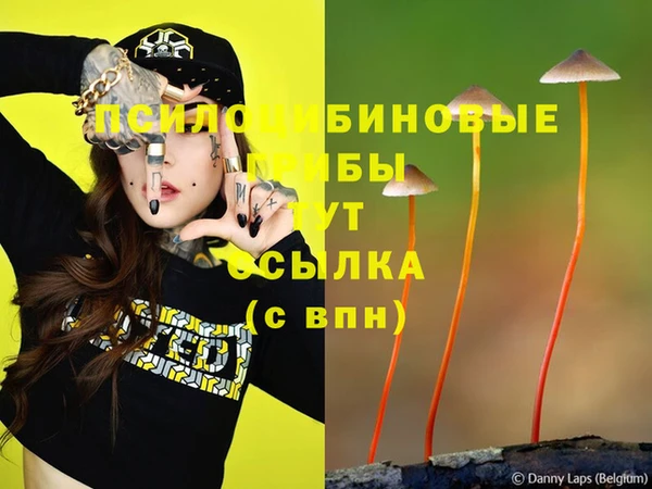 стафф Алексин