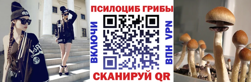 где продают наркотики  kraken зеркало  Псилоцибиновые грибы Cubensis  Нолинск 