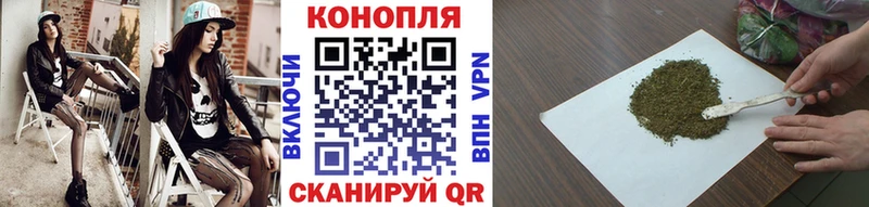Шишки марихуана план  Нолинск 